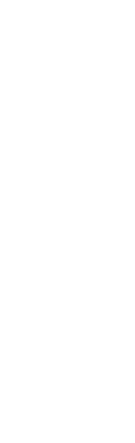 米は有機栽培