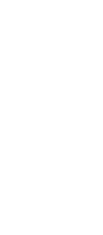 丹念に洗います