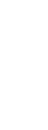 今日の焼き